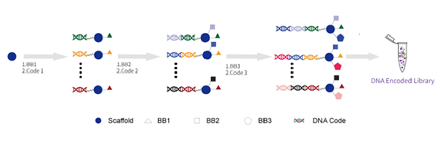 1742476676757342.png image.png