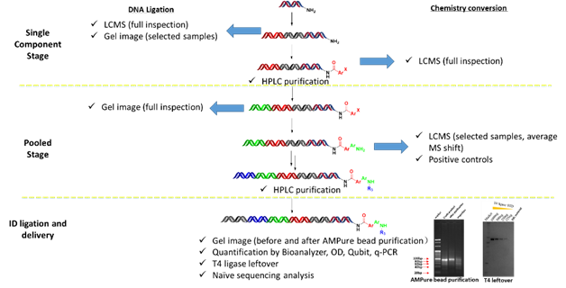 1742476841427862.png image.png