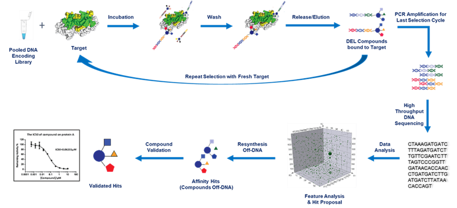 1742477178955622.png image.png