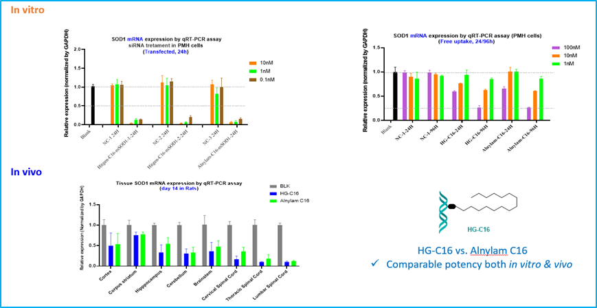 1742519304221658.png image.png