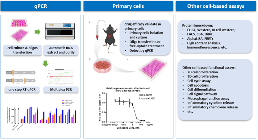 1742519402563484.png image.png