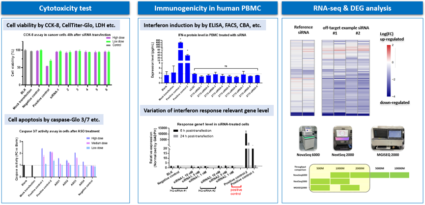 1742519407395101.png image.png