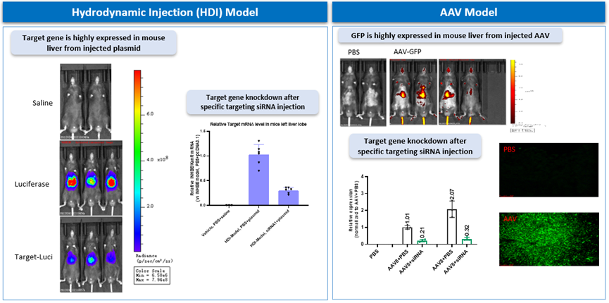 1742519425681085.png image.png