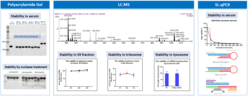 1742519430103814.png image.png