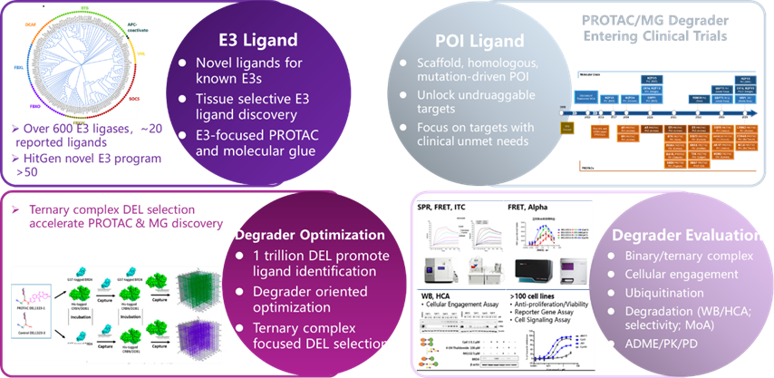 1742520491840822.png image.png