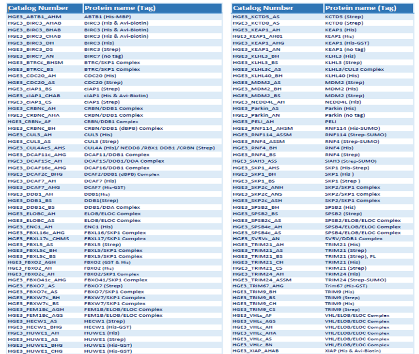 1742527990146205.png image.png