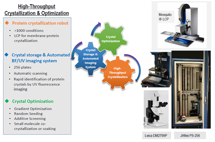 1742528016712909.png image.png