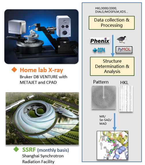 1742528036355669.png image.png