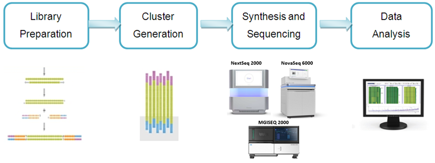 1742528120762754.png image.png