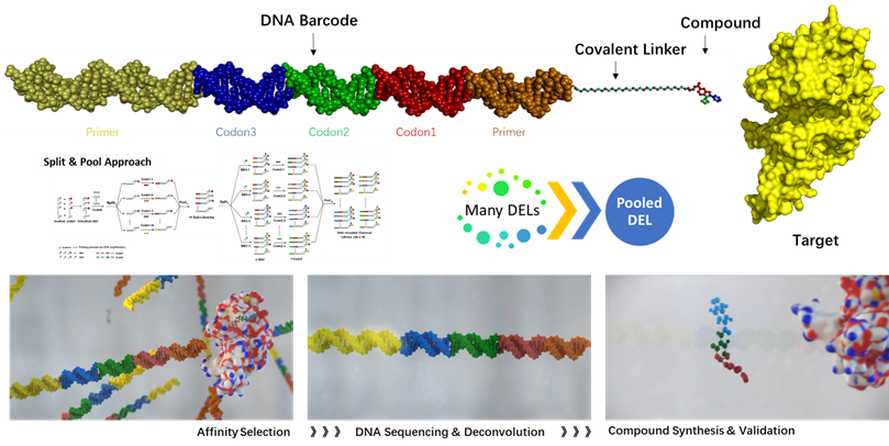 1742528172835931.png image.png