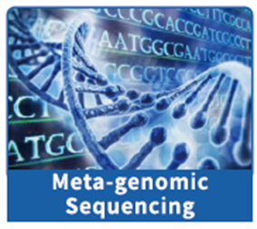 1742528202625438.png image.png