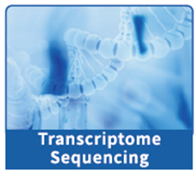 1742528223767773.png image.png