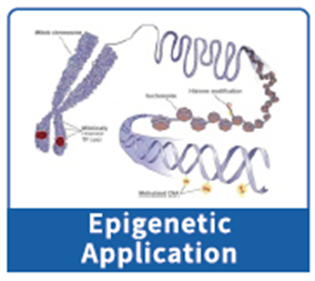 1742528232918932.png image.png