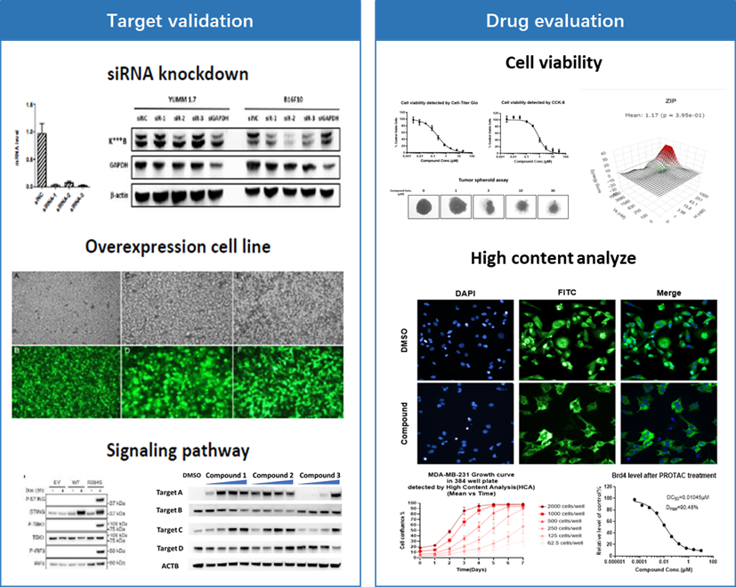 1742528341548407.png image.png