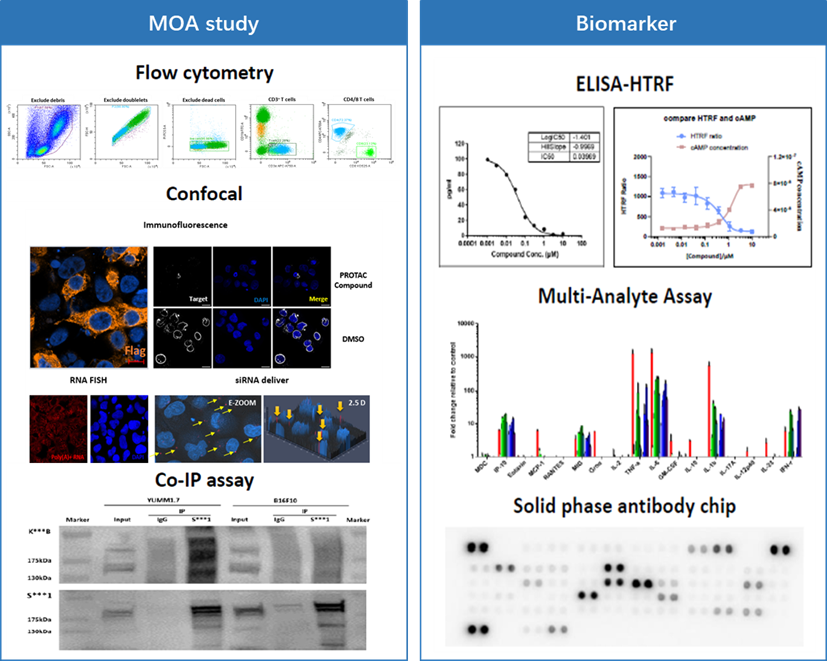 1742528346276303.png image.png