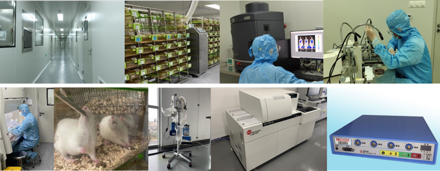 1742528393739094.png image.png