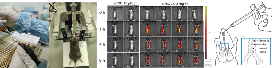 1742528406840777.png image.png