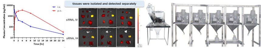 1742528417204802.png image.png