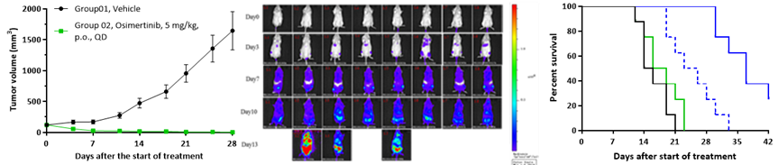 1742528426950827.png image.png