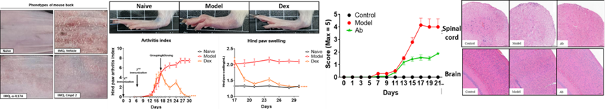 1742528435852883.png image.png