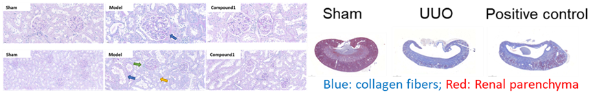 1742528444698747.png image.png