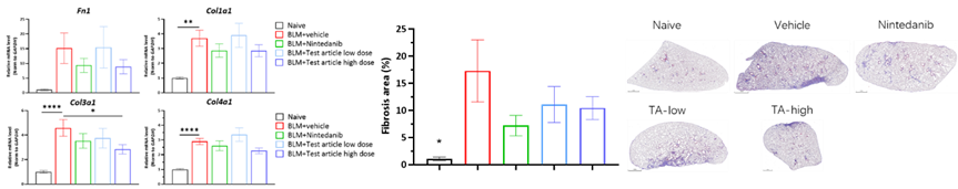 1742528455178339.png image.png