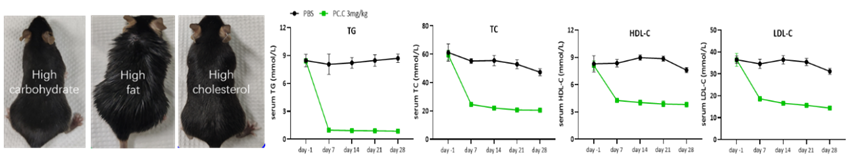 1742528470700442.png image.png