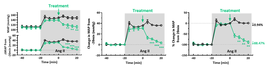 1742528477756518.png image.png