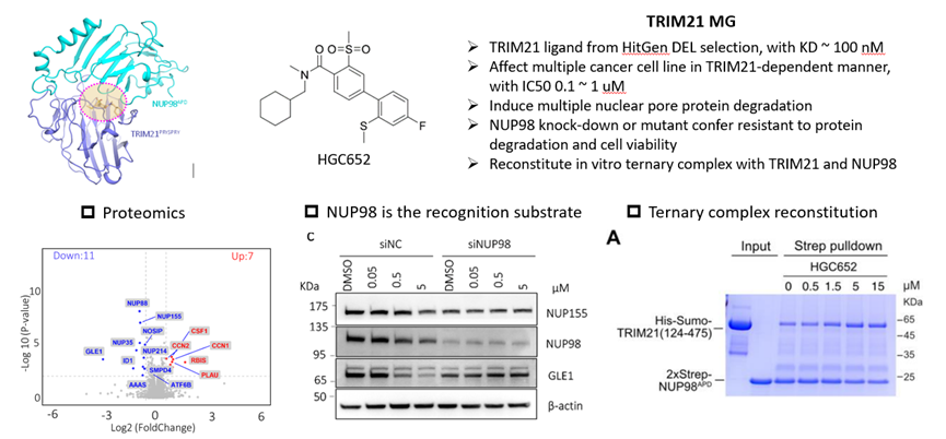 1747374866486234.png image.png