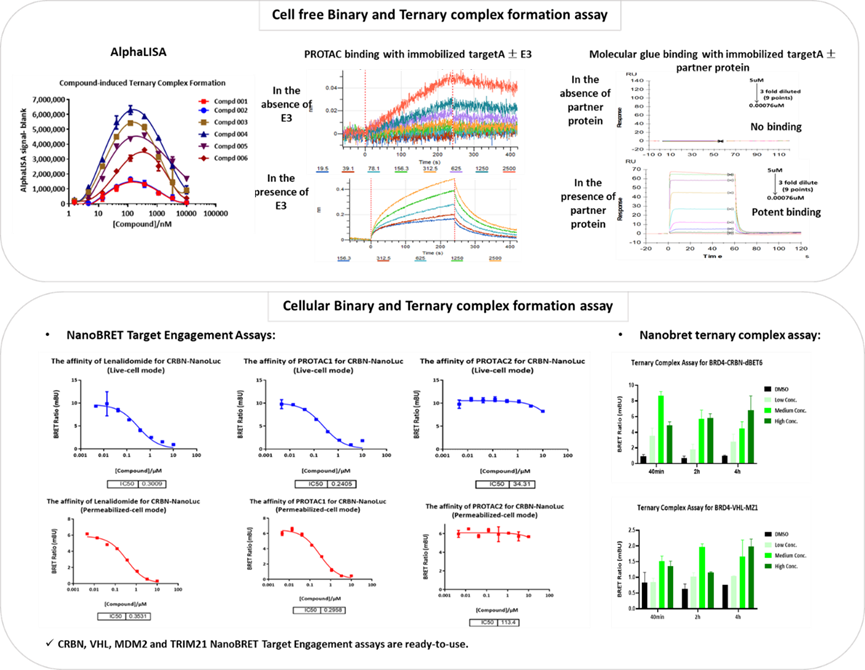 1747375217412248.png image.png