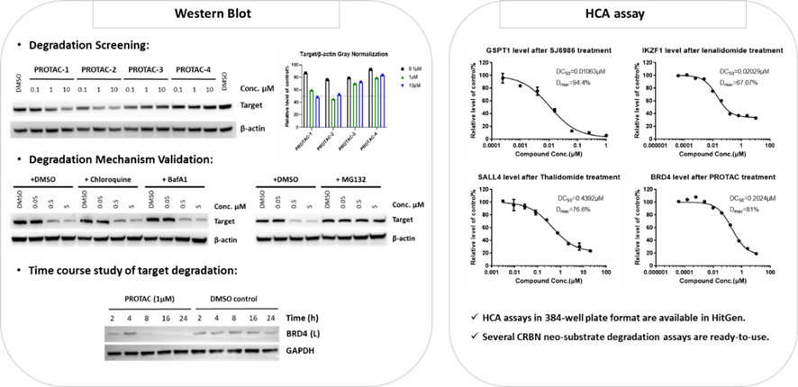 1747375256324883.png image.png