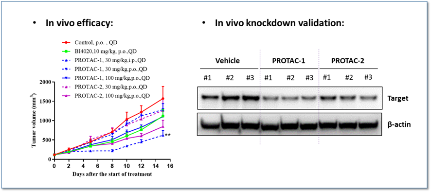 1747375279452320.png image.png